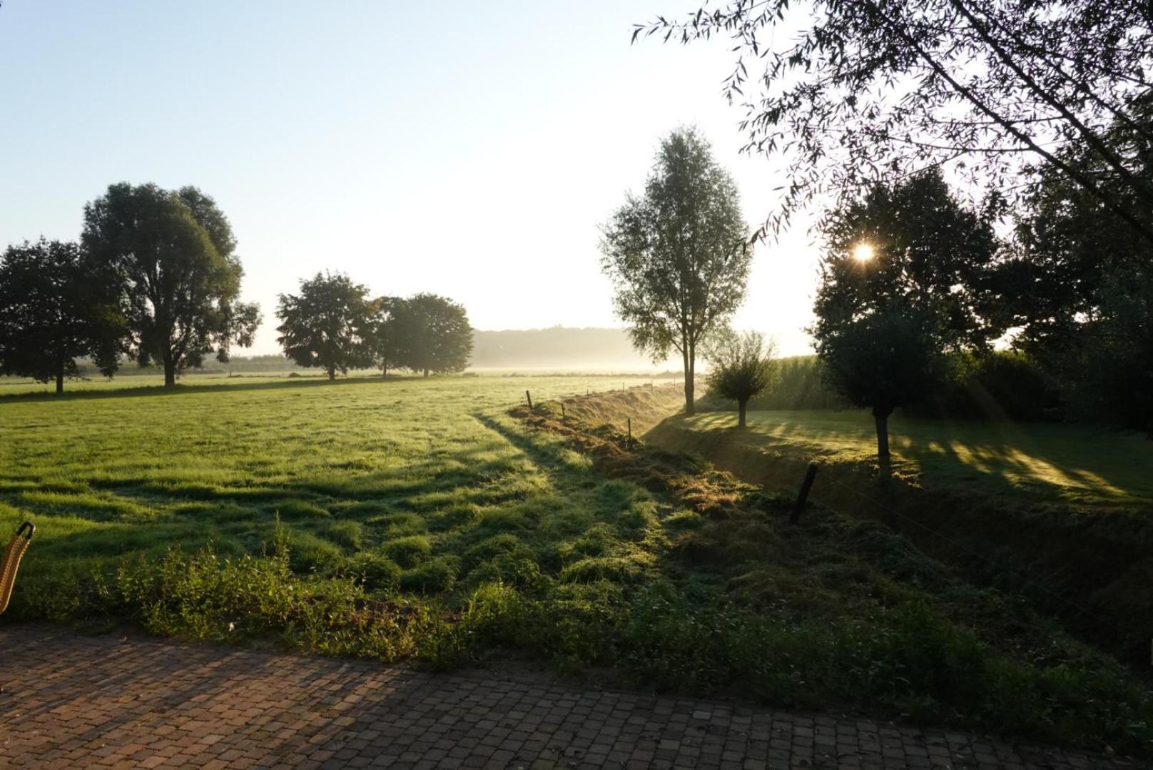 Vila De Knotwilg Loon op Zand Exteriér fotografie